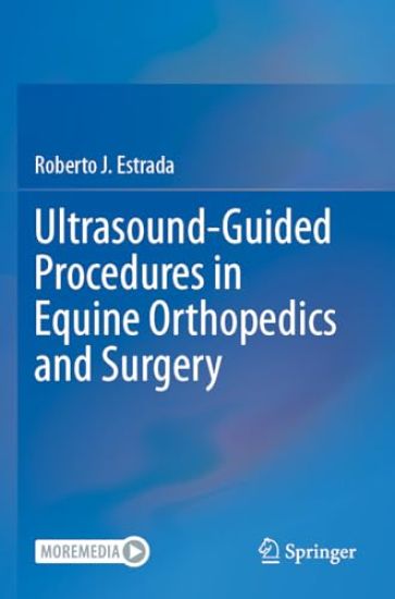 Ultrasound-Guided Procedures in Equine Orthopedics and Surgery