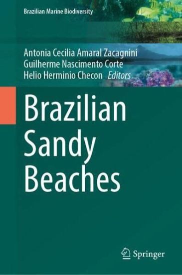 Brazilian Sandy Beaches