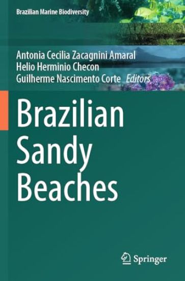 Brazilian Sandy Beaches