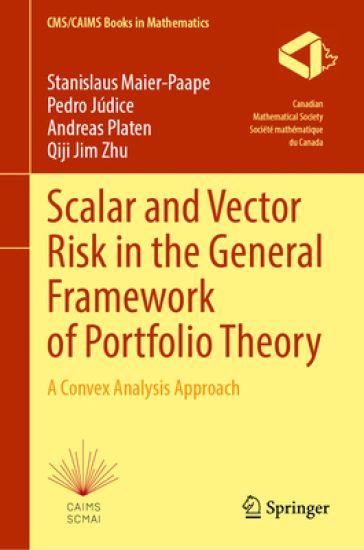 Scalar and Vector Risk in the General Framework of Portfolio Theory
