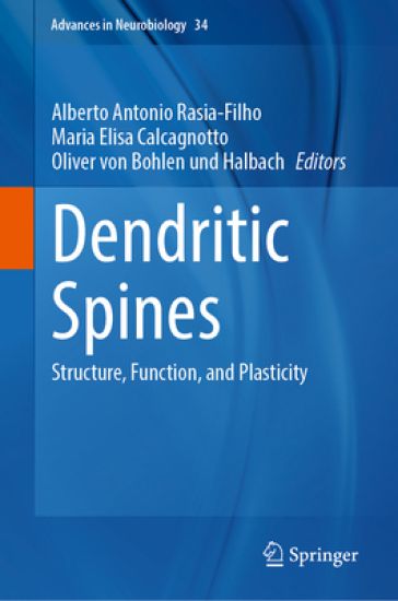 Dendritic Spines