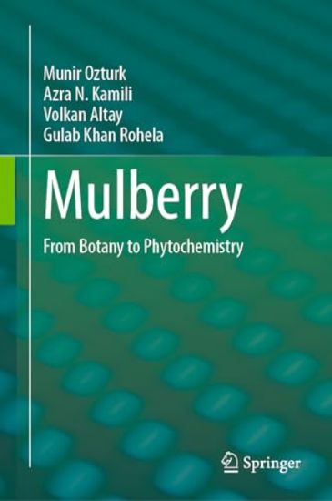 Mulberry