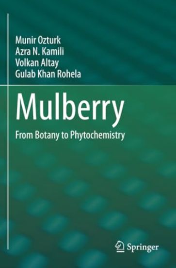 Mulberry
