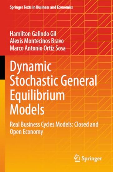 Dynamic Stochastic General Equilibrium Models