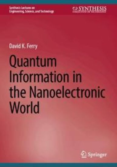 Quantum Information in the Nanoelectronic World
