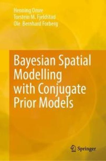 Bayesian Spatial Modelling with Conjugate Prior Models