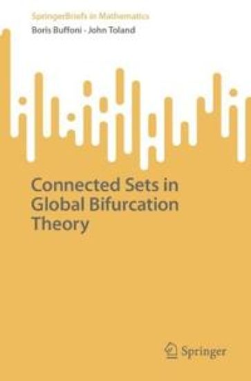 Connected Sets in Global Bifurcation Theory