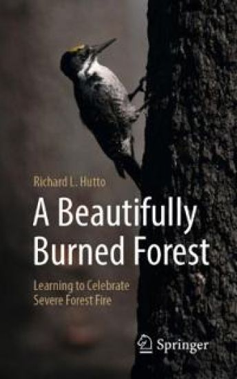 Kansikuva: A Beautifully Burned Forest