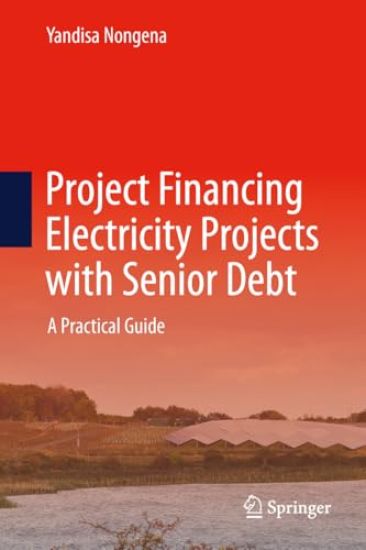 Project Financing Electricity Projects with Senior Debt