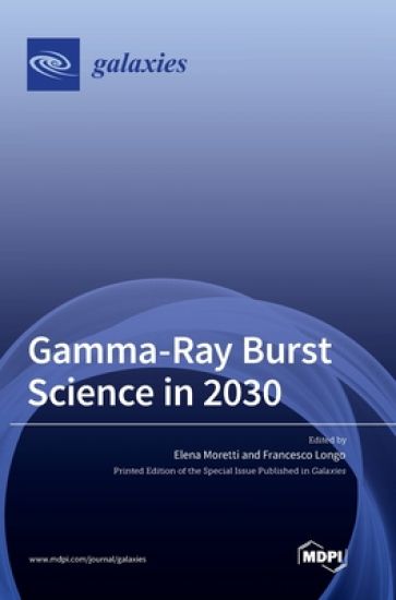Gamma-Ray Burst Science in 2030