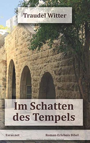 Im Schatten des Tempels