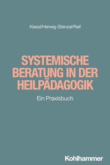 Systemische Beratung in Der Heilpadagogik: Ein Praxisbuch