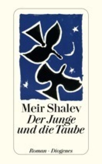 Der Junge und die Taube