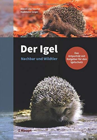 Der Igel - Nachbar und Wildtier