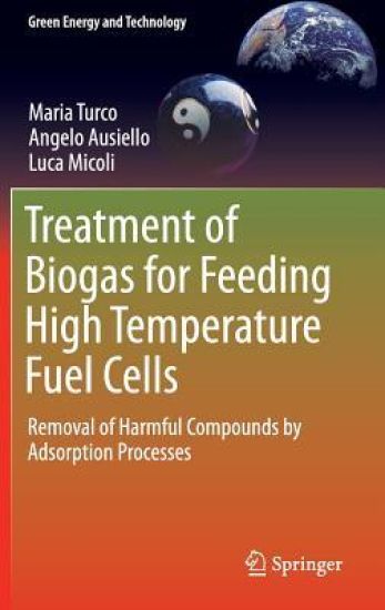 Treatment of Biogas for Feeding High Temperature Fuel Cells