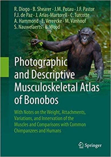 Photographic and Descriptive Musculoskeletal Atlas of Bonobos