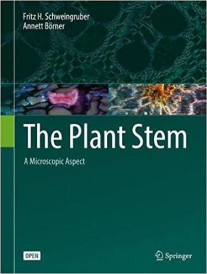 The Plant Stem