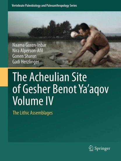 The Acheulian Site of Gesher Benot Ya‘aqov Volume IV