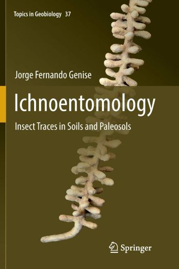 Ichnoentomology