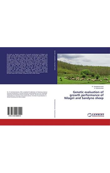 Genetic evaluation of growth performance of Nilagiri and Sandyno sheep