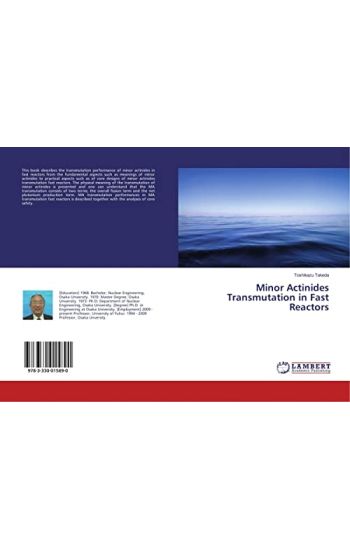 Minor Actinides Transmutation in Fast Reactors