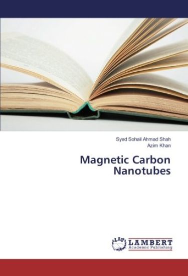 Magnetic Carbon Nanotubes