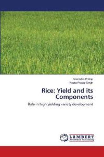 Rice