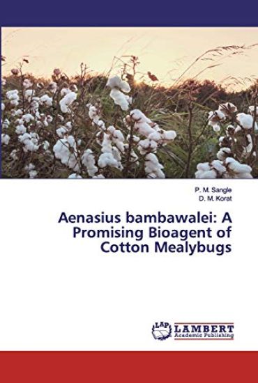 Aenasius bambawalei