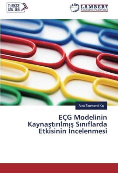 EÇG Modelinin Kayna¿t¿r¿lm¿¿ S¿n¿flarda Etkisinin ¿ncelenmesi