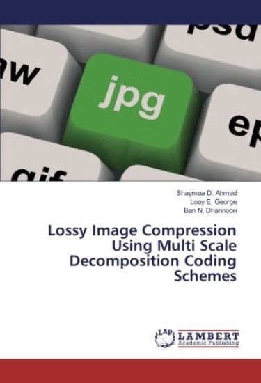 Lossy Image Compression Using Multi Scale Decomposition Coding Schemes