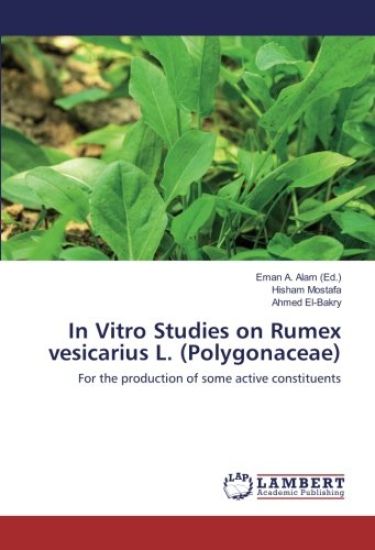 In Vitro Studies on Rumex vesicarius L. (Polygonaceae)