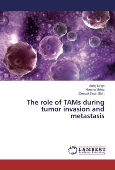 The role of TAMs during tumor invasion and metastasis