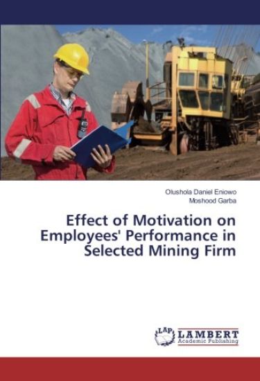 Effect of Motivation on Employees' Performance in Selected Mining Firm