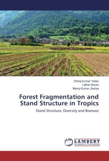 Forest Fragmentation and Stand Structure in Tropics