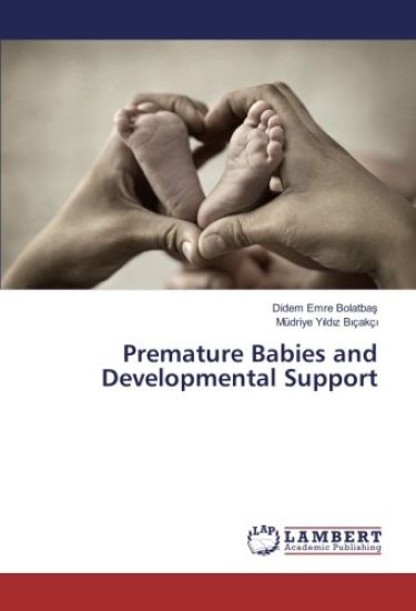 Premature Babies and Developmental Support
