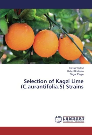 Selection of Kagzi Lime (C.aurantifolia.S) Strains