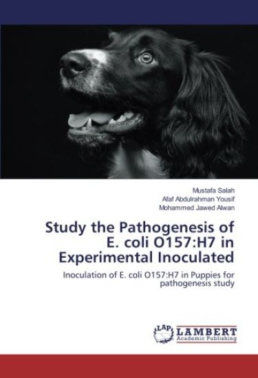 Study the Pathogenesis of E. coli O157:H7 in Experimental Inoculated