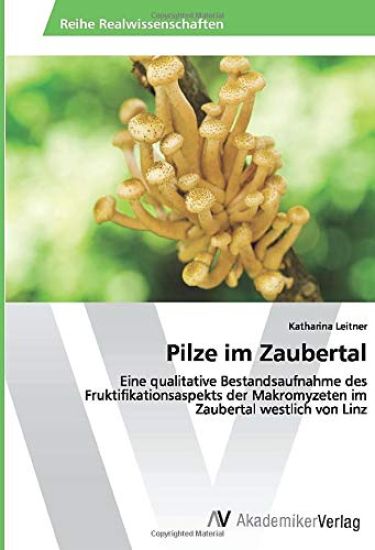 Pilze im Zaubertal