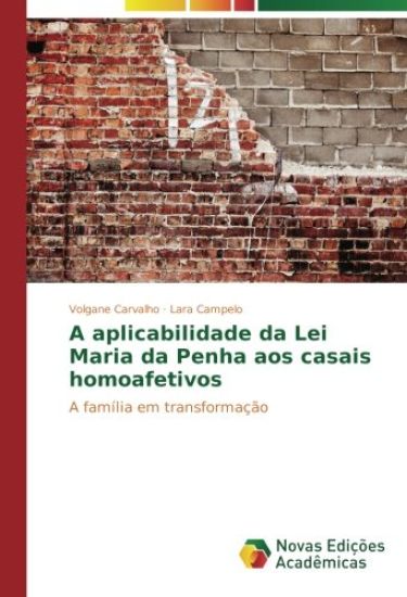 A aplicabilidade da Lei Maria da Penha aos casais homoafetivos
