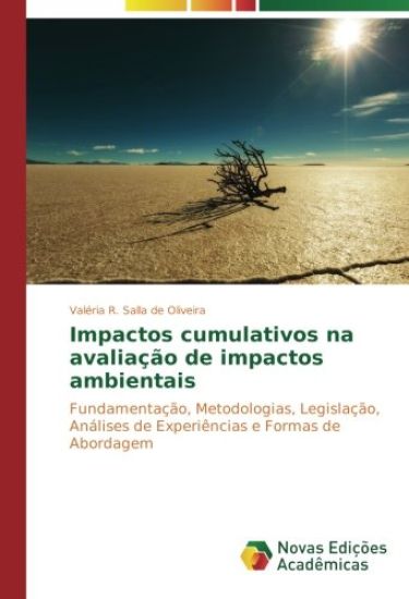 Impactos cumulativos na avaliação de impactos ambientais