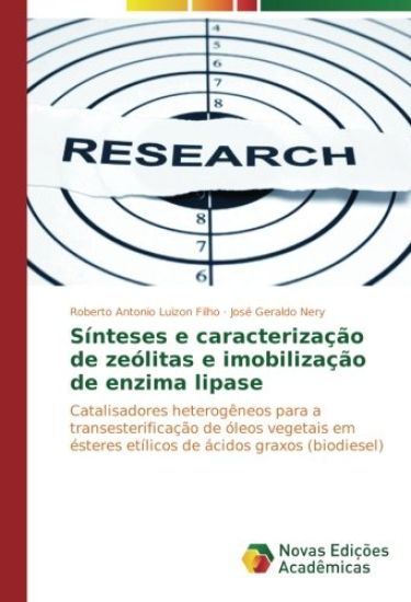 Sínteses e caracterização de zeólitas e imobilização de enzima lipase