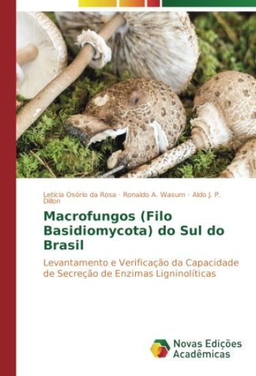 Macrofungos (Filo Basidiomycota) do Sul do Brasil