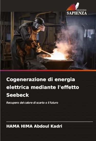 Cogenerazione di energia elettrica mediante l'effetto Seebeck