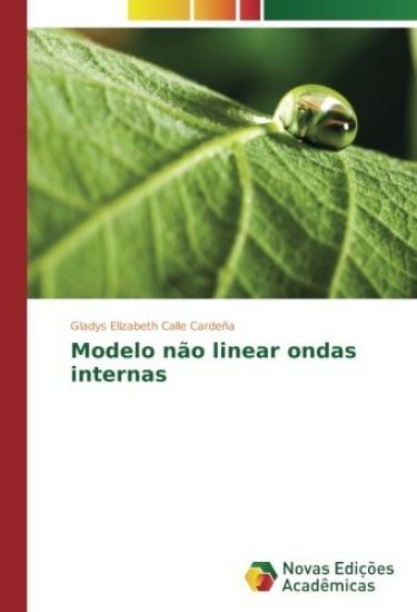 Modelo não linear ondas internas