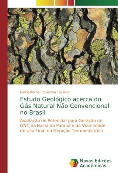 Estudo Geológico acerca do Gás Natural Não Convencional no Brasil