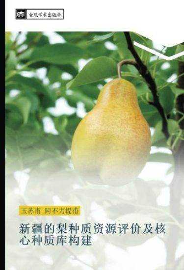 xin jiang de li zhong zhi zi yuan ping jia ji he xin zhong zhi ku gou jian