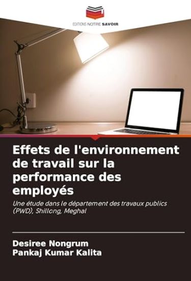Effets de l'environnement de travail sur la performance des employés