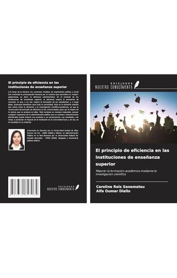 El principio de eficiencia en las instituciones de enseñanza superior