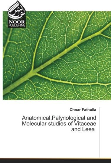 Anatomical,Palynological and Molecular studies of Vitaceae and Leea