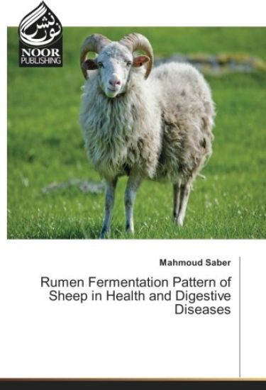 Rumen Fermentation Pattern of Sheep in Health and Digestive Diseases